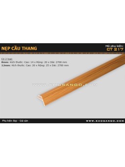 Nẹp nhựa cầu thang CT-217