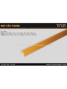 Nẹp nhựa cầu thang CT-227