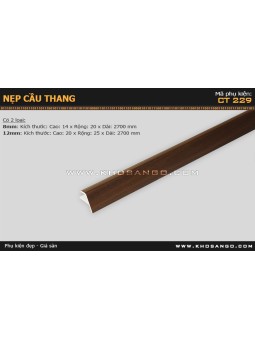 Nẹp nhựa cầu thang CT-229