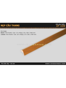 Nẹp nhựa cầu thang CT-439