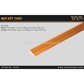 Nẹp nhựa kết thúc KT-217