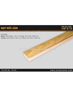 Nẹp nhựa nối sàn NS-215