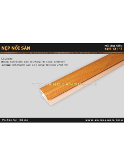 Nẹp nhựa nối sàn NS-217