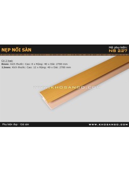 Nẹp nhựa nối sàn NS-227